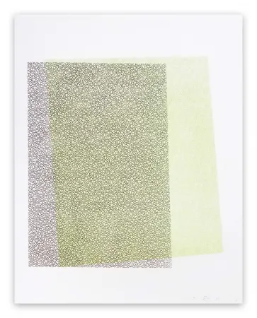 Relevo Maine - Pitched Planes 131