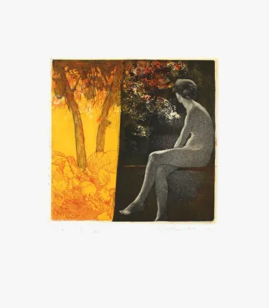 Água-Forte Mair - Ombracule