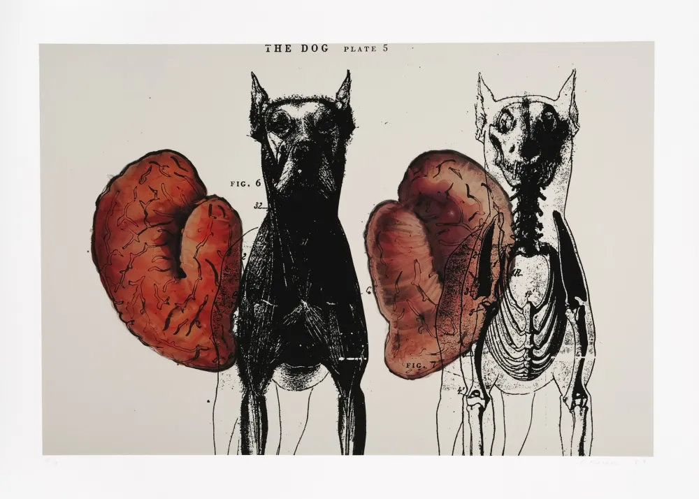 Gravura Digital Malani - Stress of recall (The)