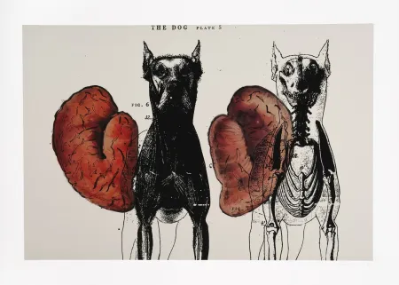 Gravura Digital Malani - Stress of recall (The)