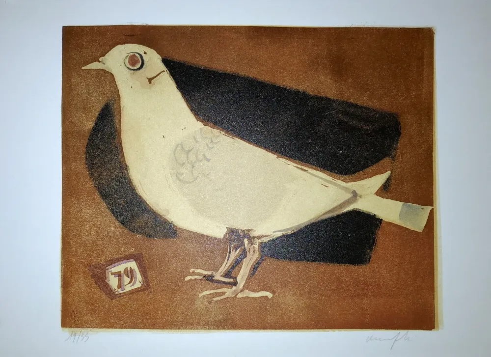Linogravura Manfredi - Piccione