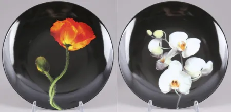 Múltiplo Mapplethorpe - Poppy & Orchid
