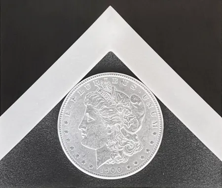 Fotografia Mapplethorpe - Silver Dollar