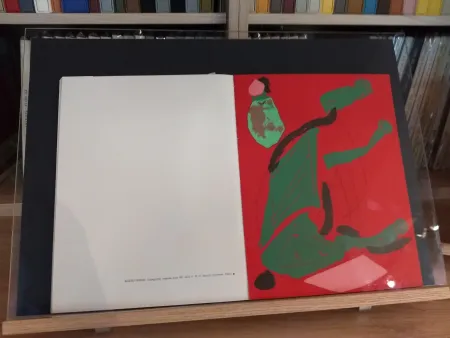 Livro Ilustrado Marini - No 35