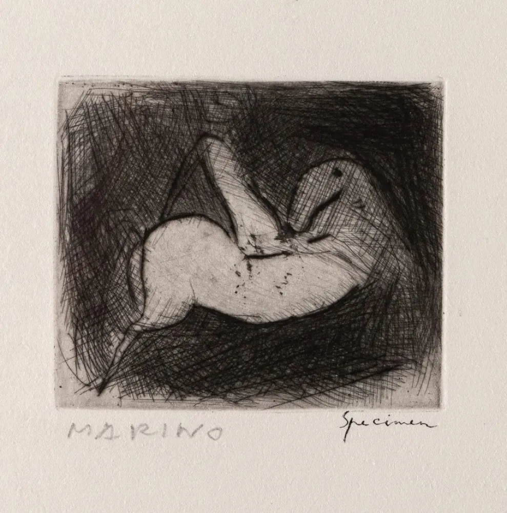 Água-Forte Marini - Piccolo Cavaliere