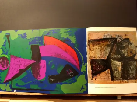 Livro Ilustrado Marini - Xxe No 30