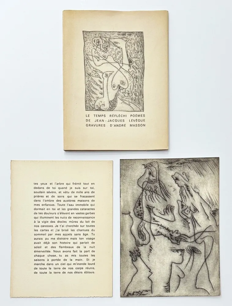 Livro Ilustrado Masson - Le temps réfléchi