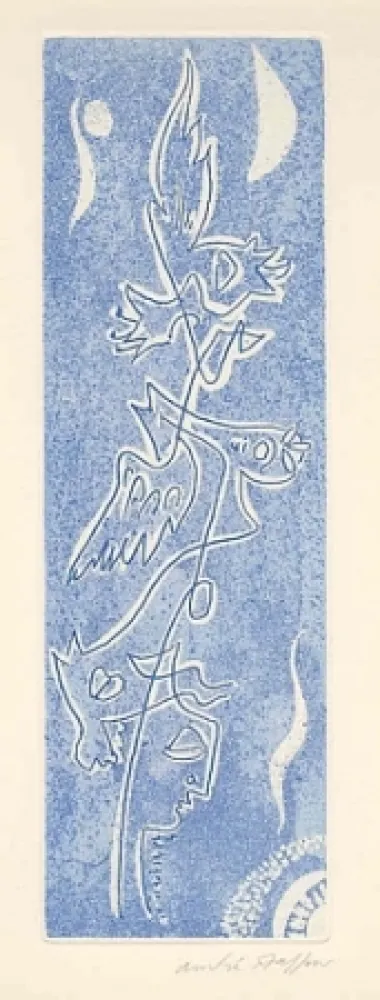 Livro Ilustrado Masson - Méta.morphoses