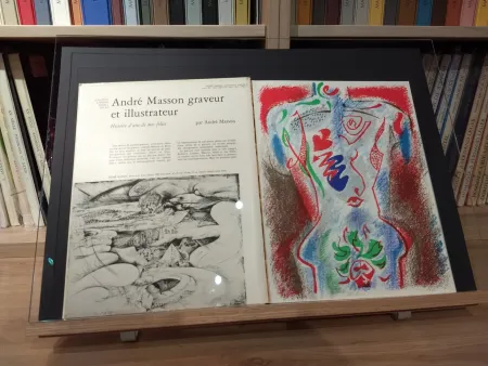 Livro Ilustrado Masson - No 38