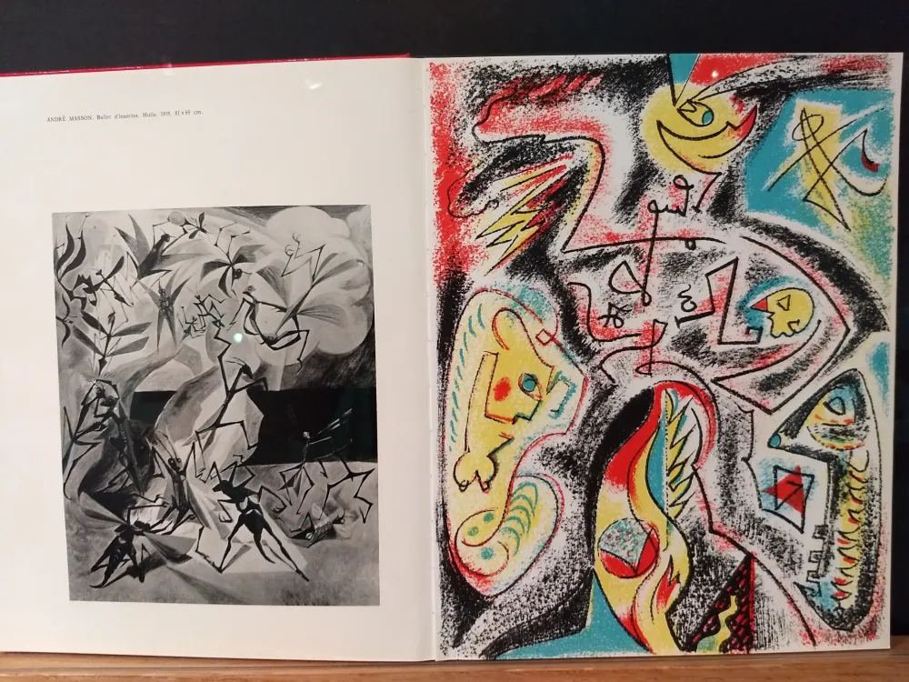 Livro Ilustrado Masson - Xxe No 32