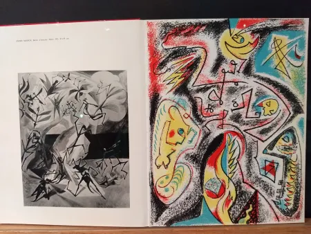 Livro Ilustrado Masson - Xxe No 32