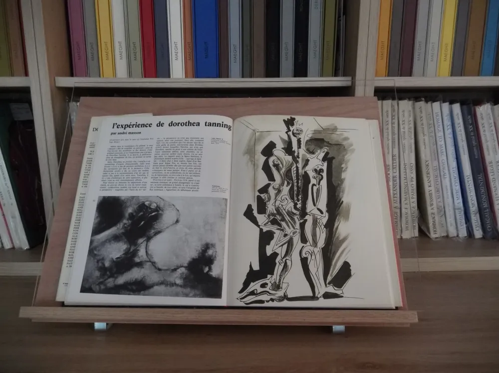 Livro Ilustrado Masson - Xxe Tanning