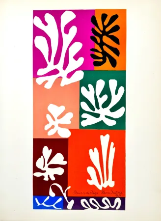 Litografia Matisse - Fleurs de neige 