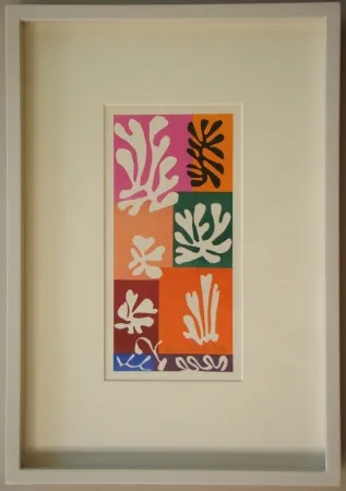 Litografia Matisse - Fleurs De Neige