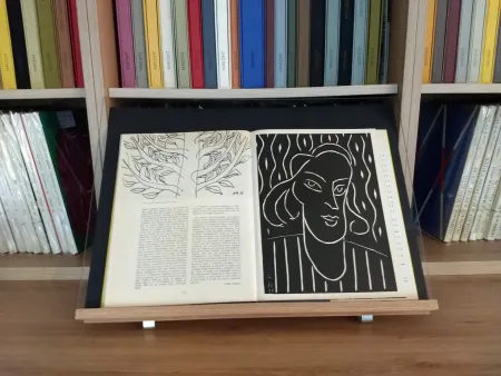 Livro Ilustrado Matisse - Hommage