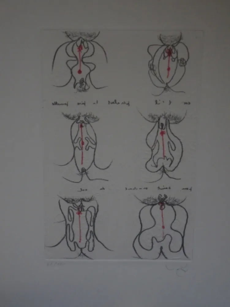 Água-Forte E Água-Tinta Matta - Epistill et pistelle.
