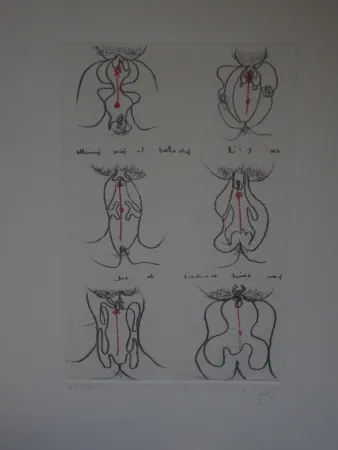 Água-Forte E Água-Tinta Matta - Epistill et pistelle.