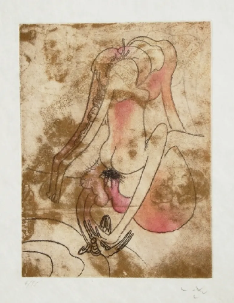 Água-Forte E Água-Tinta Matta - FMR