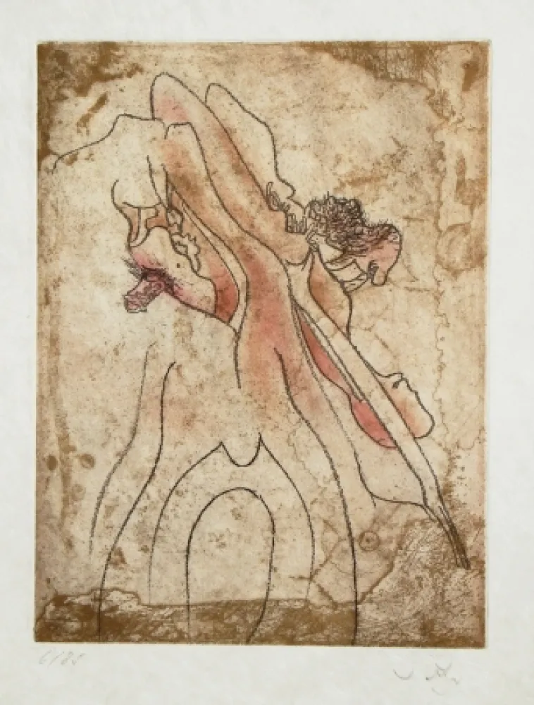 Água-Forte E Água-Tinta Matta - FMR