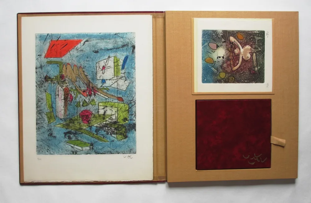 Livro Ilustrado Matta - L'oeuvre gravé