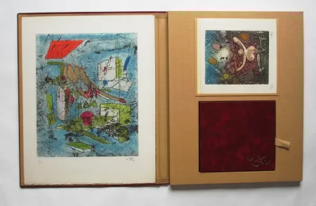 Livro Ilustrado Matta - L'oeuvre gravé