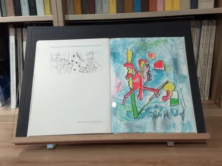 Livro Ilustrado Matta - No 45