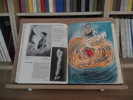 Livro Ilustrado Matta - Xxe Tanning