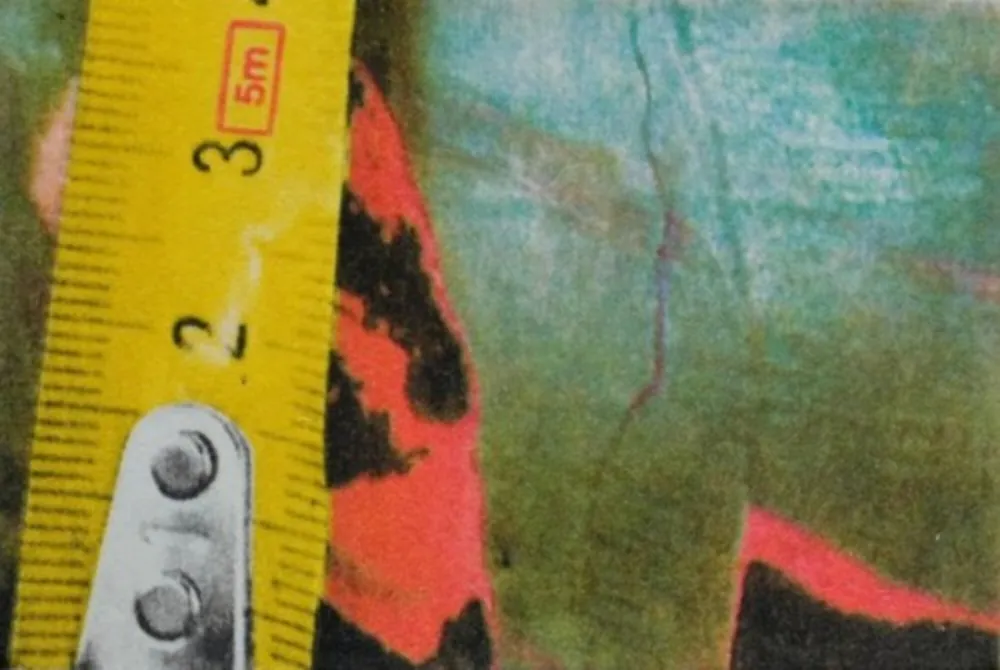 Fotografia Mcbride - Untitled (Rulers III)