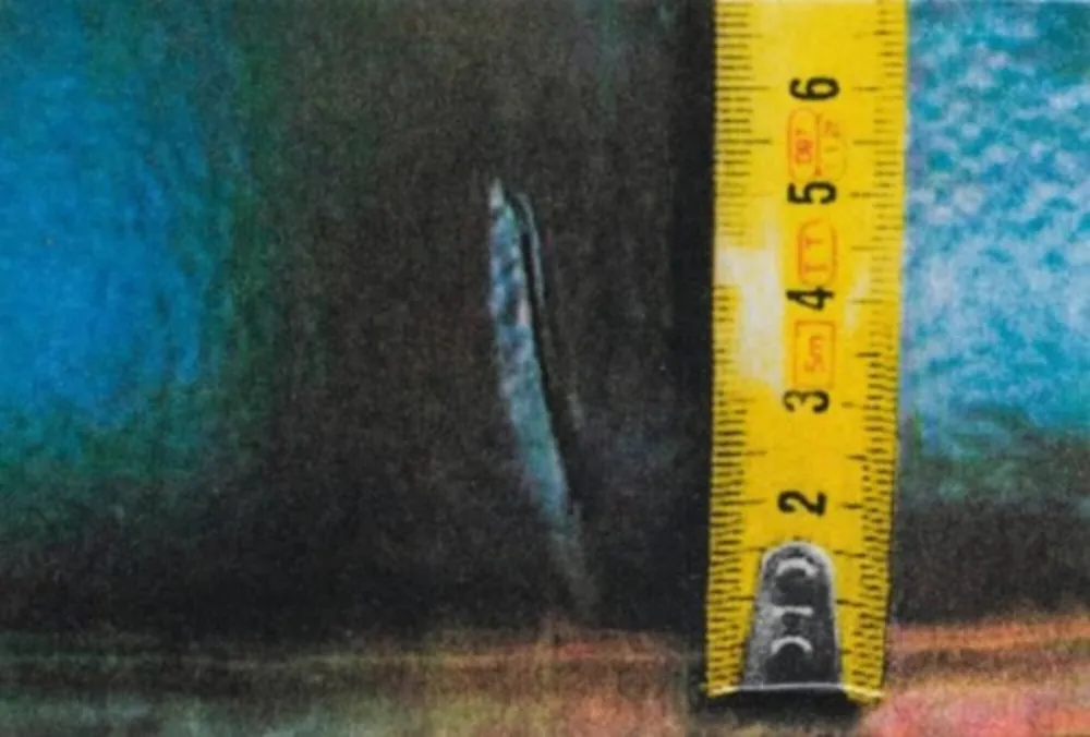 Fotografia Mcbride - Untitled (Rulers IV)