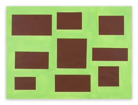 Sem Técnica Mcglynn - Survey 4