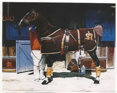 Litografia Mclean - Prim Style