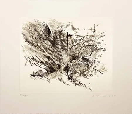 Ponta-Seca Mehretu - Untitled I (amulets) from the Artist for Obama Portfolio