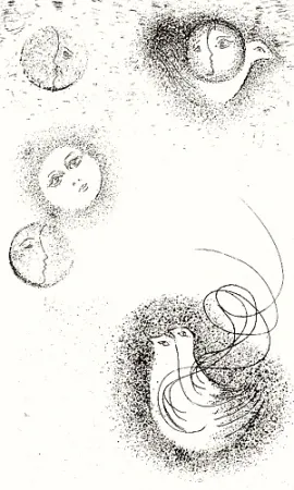 Livro Ilustrado Melotti - Homage to Sextus Propertius