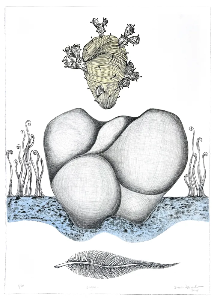 Litografia Mercado - Origen