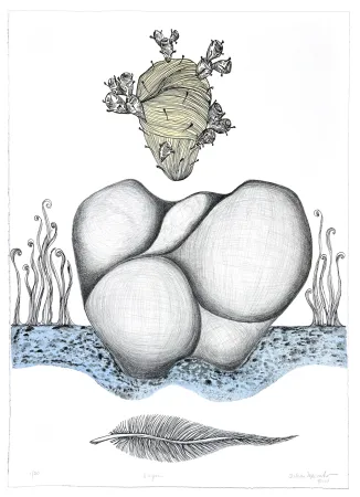 Litografia Mercado - Origen