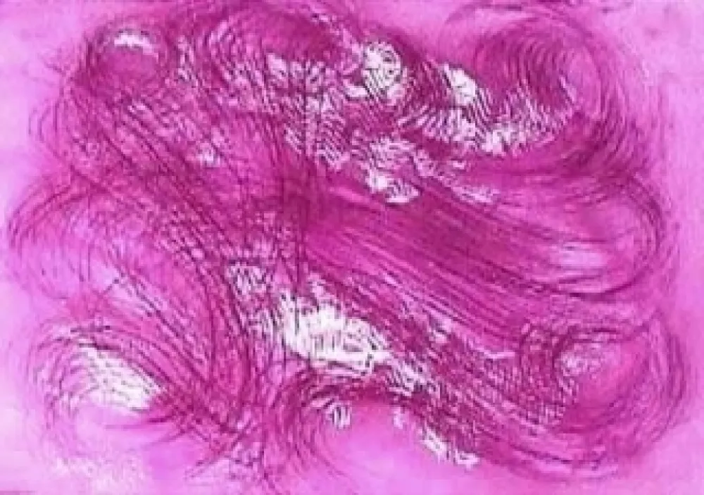 Água-Forte E Água-Tinta Messagier - Les mangeurs de vent 