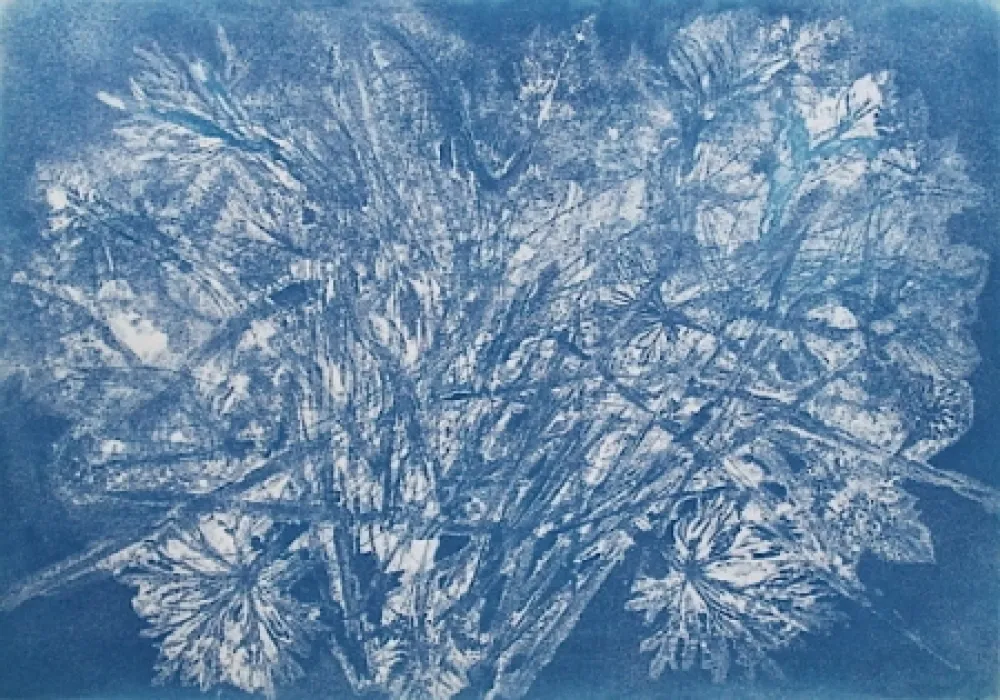 Água-Forte E Água-Tinta Messagier -  Machine à Printemps 