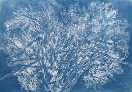 Água-Forte E Água-Tinta Messagier -  Machine à Printemps 