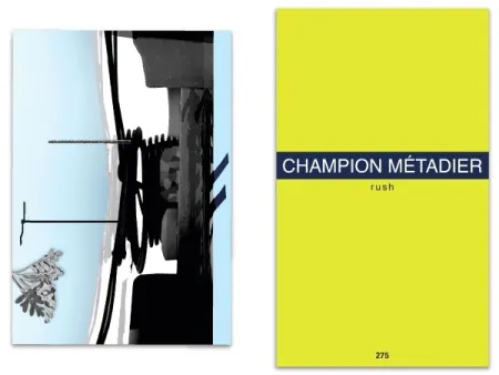 Livro Ilustrado Metadier - L'art en écrit