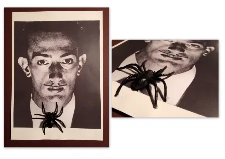 Sem Técnica Metras - Collage - Dalí S/T