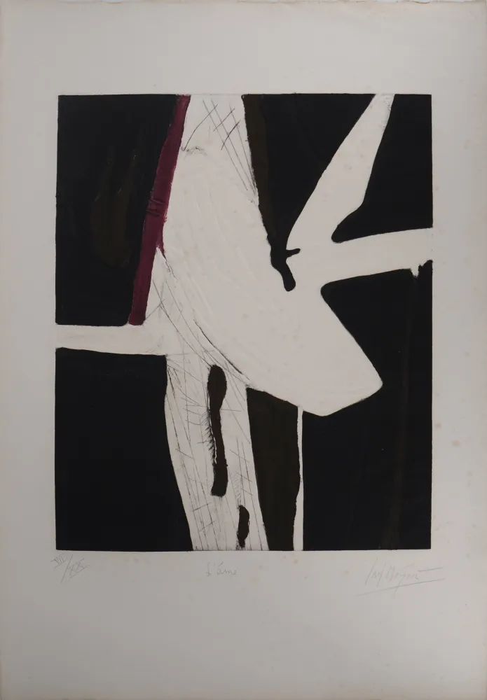 Gravura Meyer - L'âme