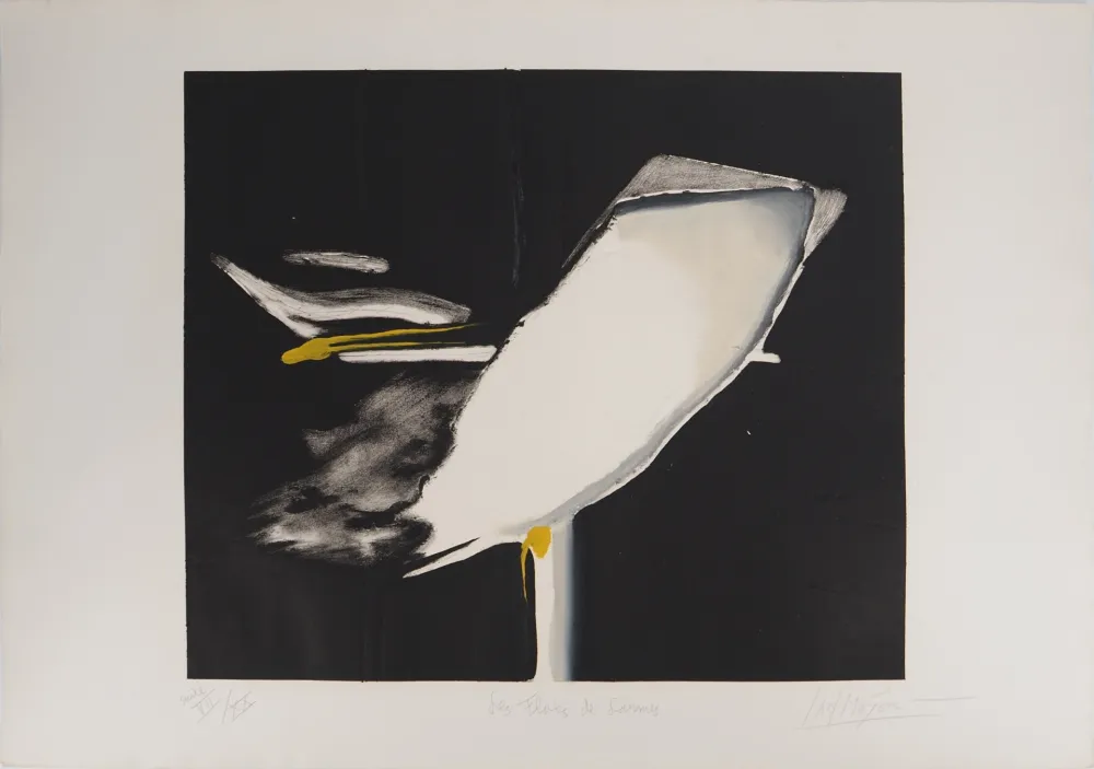 Gravura Meyer - Les Flots de Larmes