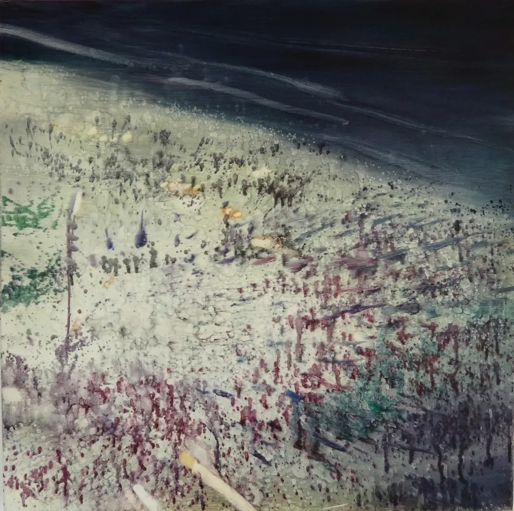 Sem Técnica Meyer - Rio Beach