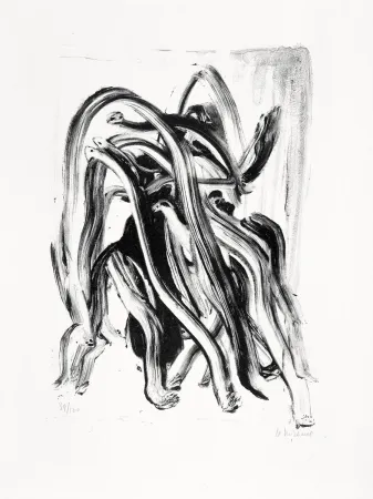 Litografia Michaux - Pour Brunidor