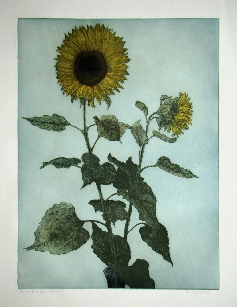 Gravura Michelsen - Sonnenblumen