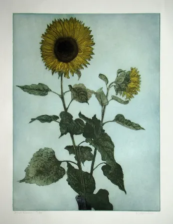 Gravura Michelsen - Sonnenblumen