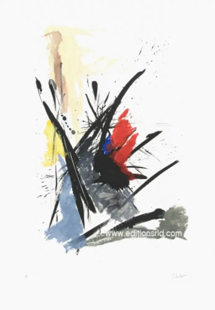 Água-Forte E Água-Tinta Miotte - L'iroquois