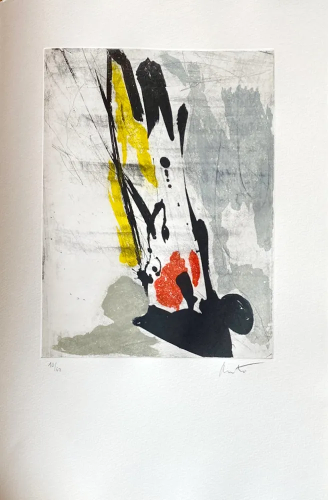 Água-Forte Miotte - Près des murs