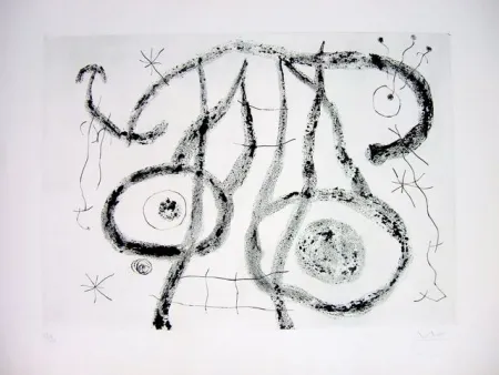 Ponta-Seca Miró - EL AGUADOR V