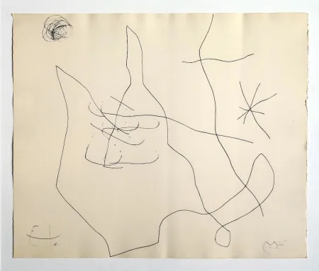 Gravura Miró - Flux de l'aimant